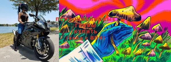 винт Балахна