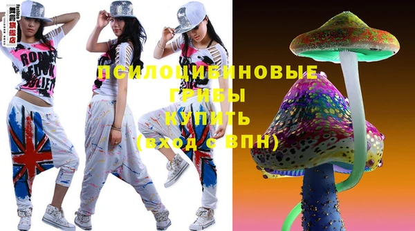 сатива Дмитров