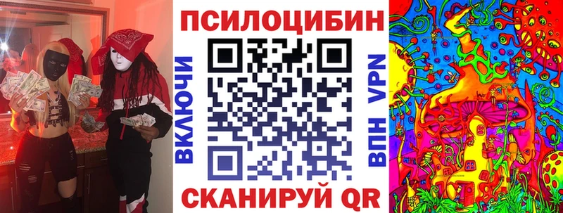 Галлюциногенные грибы мицелий  что такое   Светлоград 